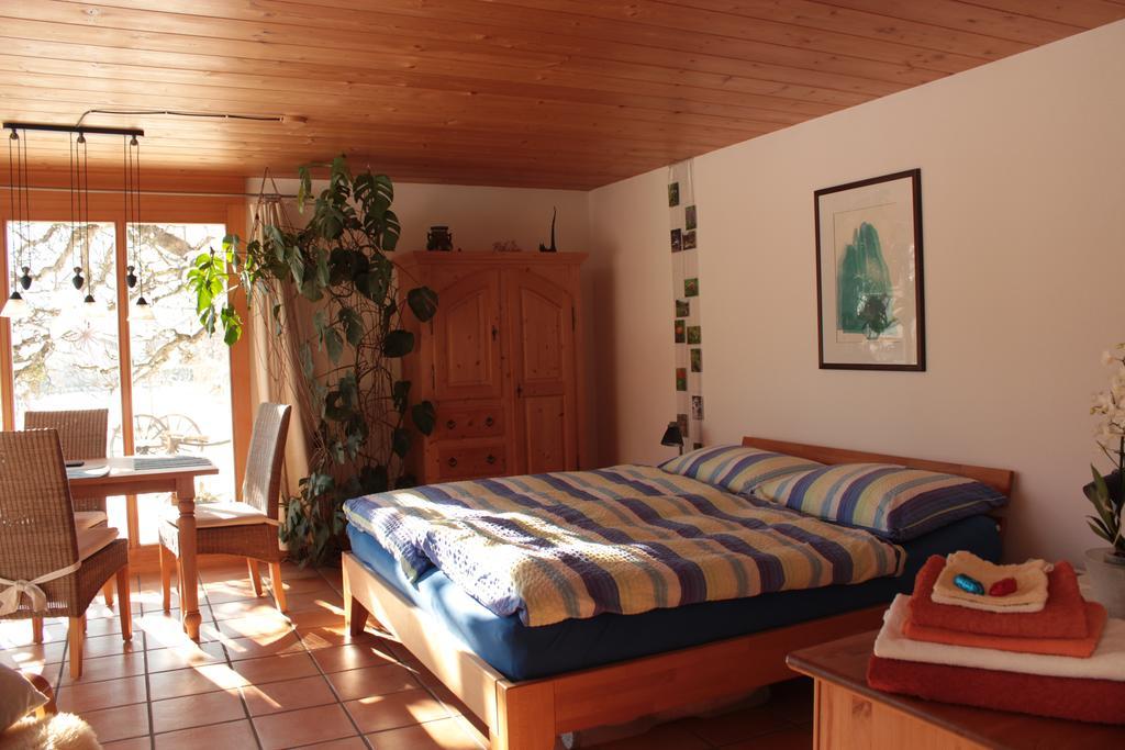 Bed and Breakfast Dunkel Blaue Maus Мейринген Экстерьер фото